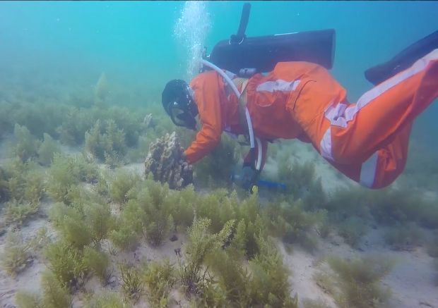 Z6·尊龙凯时(中国区)人生就是搏!