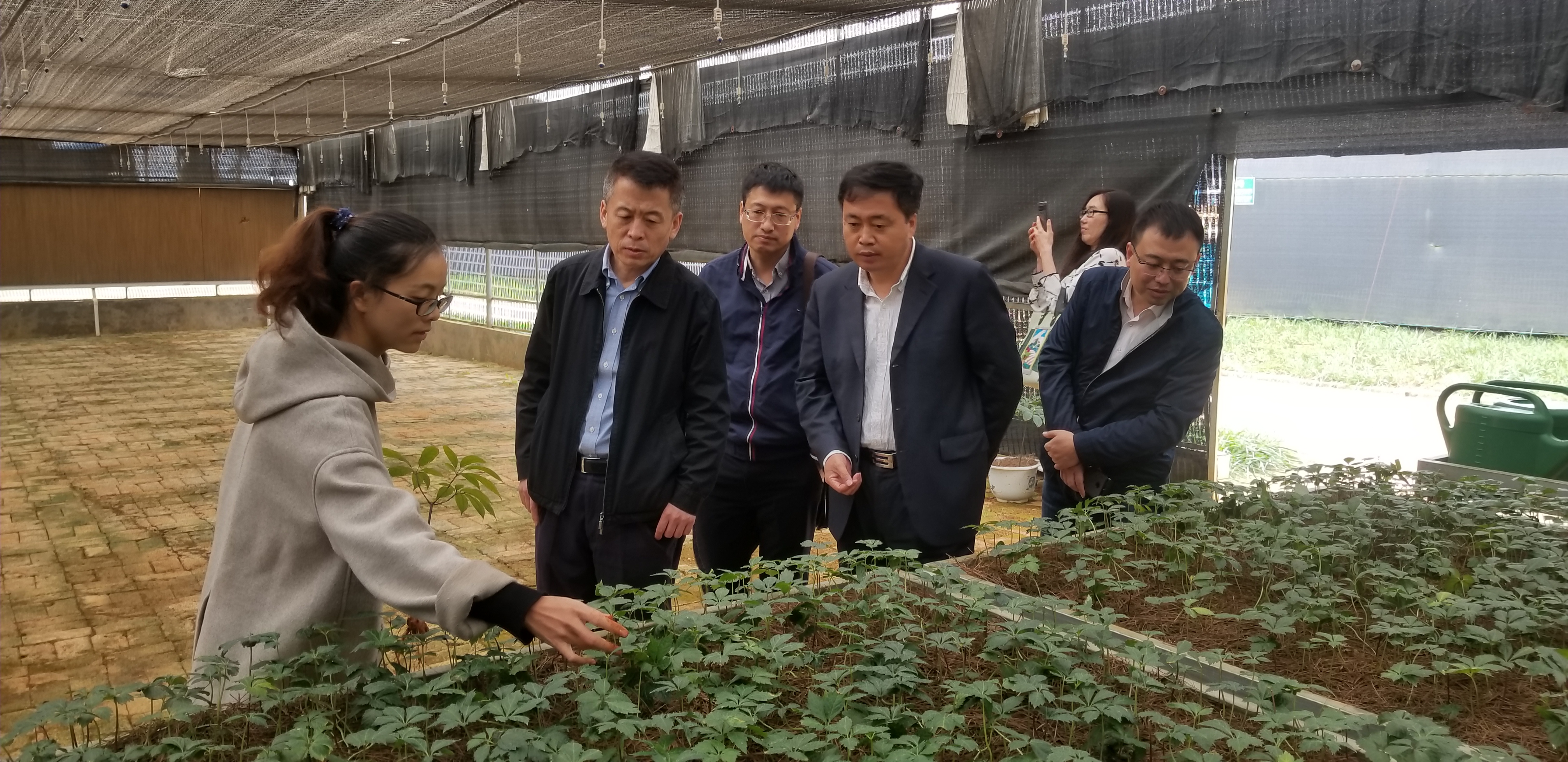 Z6·尊龙凯时(中国区)人生就是搏!